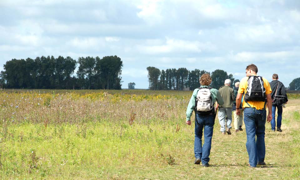 wandelaars wandelaars