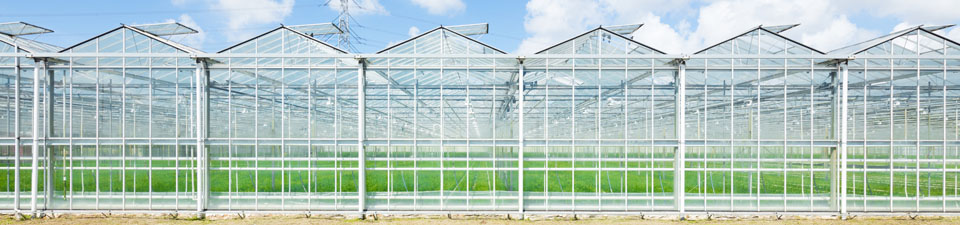 glastuinbouw glastuinbouw