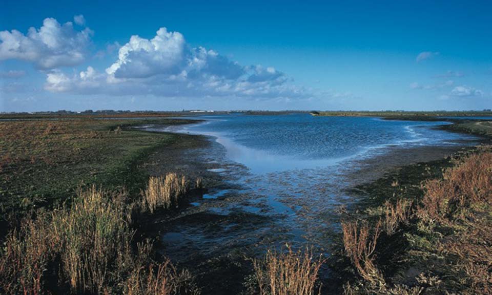 crezeepolder-960 crezeepolder-960