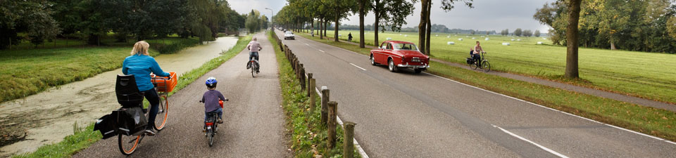 N484-header N484-header