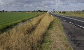 Verkeersveiligheid berm komt tot bloei - hmpaaltje