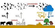 Afbeelding bij pagina waarom is er een stikstofprobleem