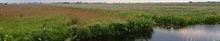 Alblasserwaard beeldbank