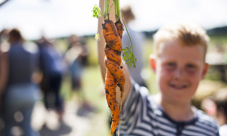 Credits: Beleef het en Eet het