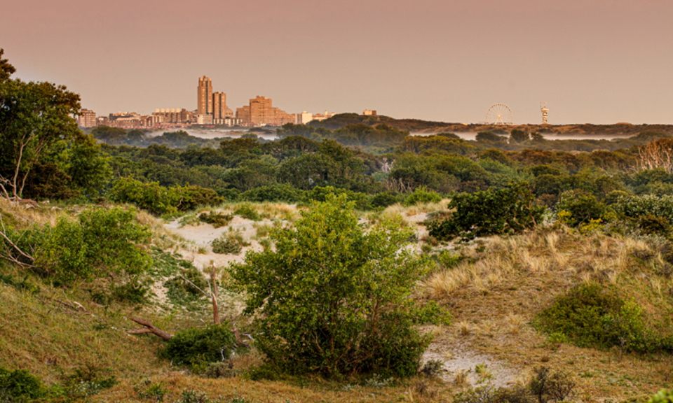 Officiële status voor Nationaal Park Hollandse Duinen