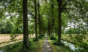 pad-bij-de-groene-halte